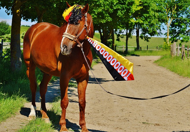 再度同場較 再度同場較