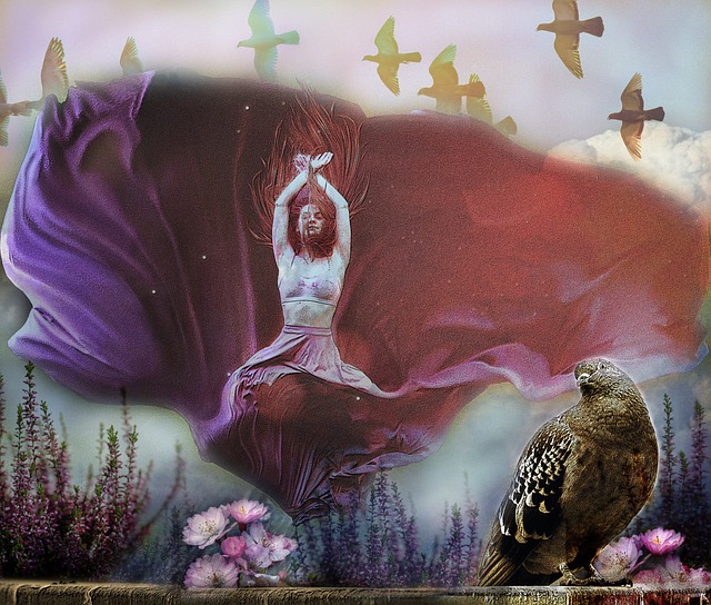 一个引人注 一个引人注