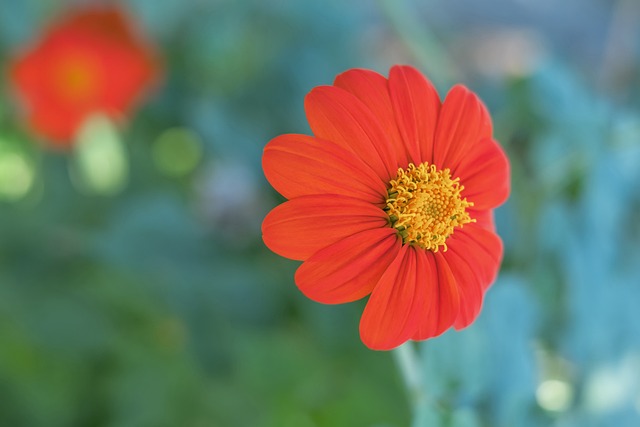 但显示了哈 但显示了哈